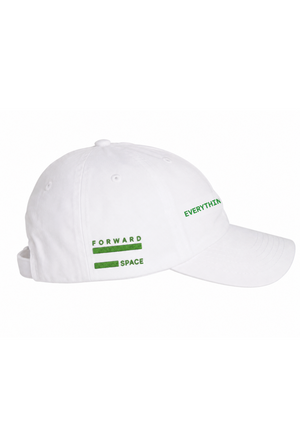 Everything Is Energy Dad Hat